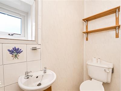 Picture 7